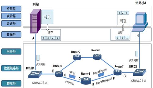 深入理解計算機網絡體系結構 TCP/IP協議與計算機系統服務